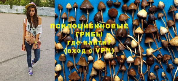 Альфа ПВП Алзамай