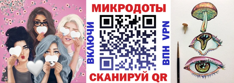 Галлюциногенные грибы Psilocybe  Ладушкин 
